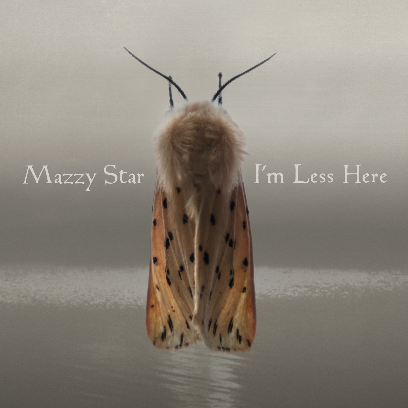 I'm Less Here - Single album cover