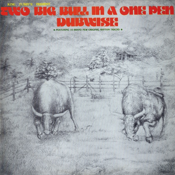 Two Big Bull in a One Pen (Dubwise Versions) album cover