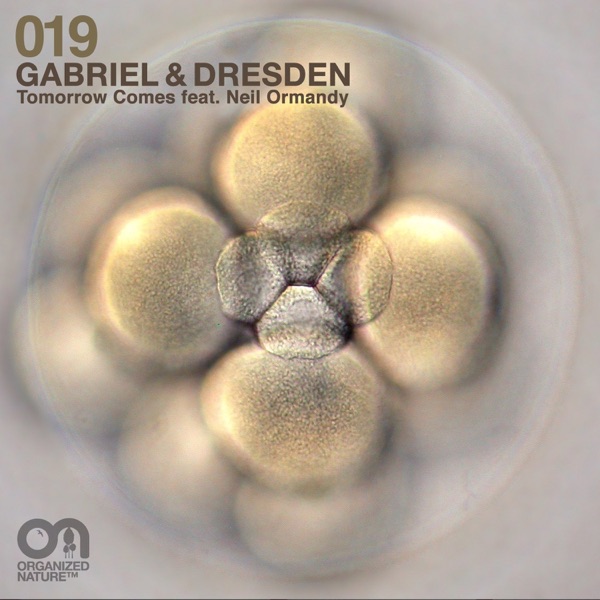 Tomorrow Comes (feat. Neil Ormandy) - Single album cover