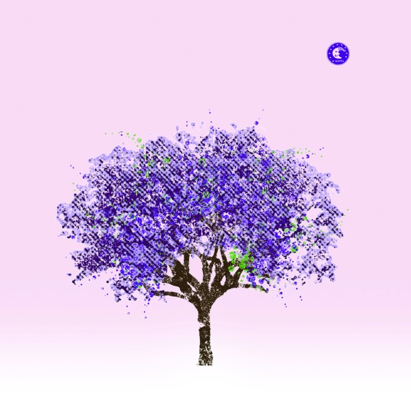 The Man - Single album cover