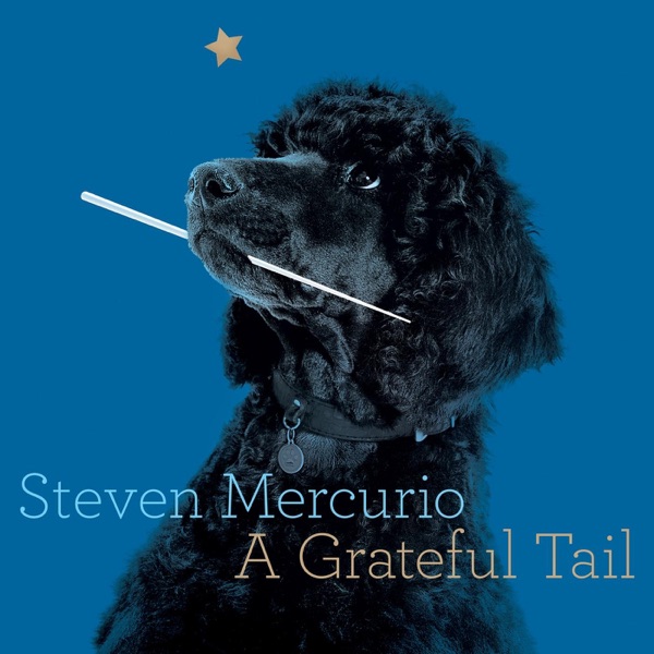 Steven Mercurio: A Grateful Tail album cover