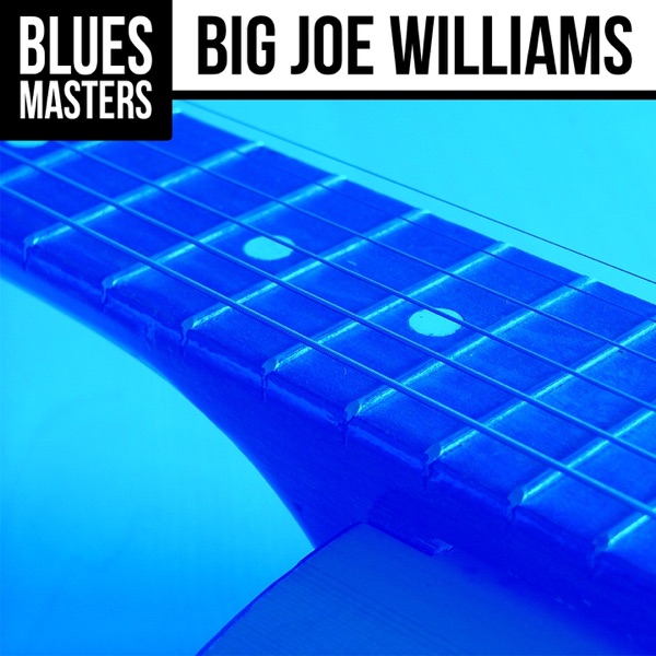 Blues Masters: Big Joe Williams album cover