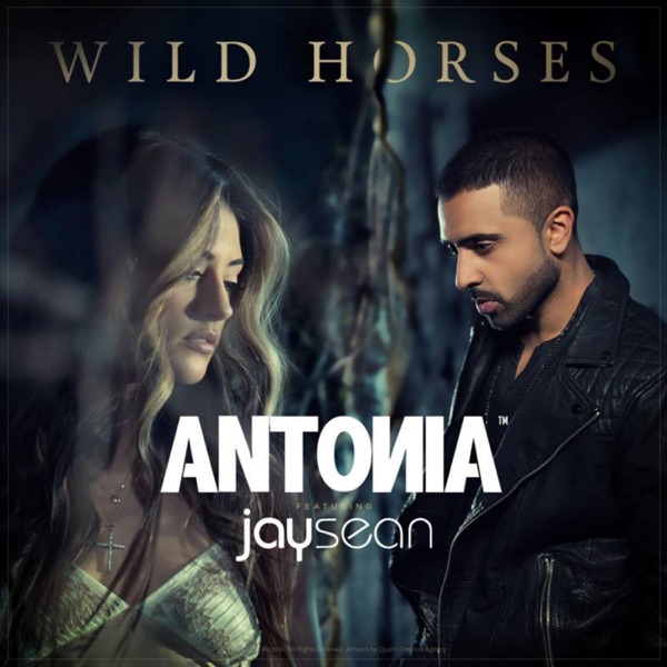 Wild Horses (feat. Jay Sean) [Remixes] - EP album cover