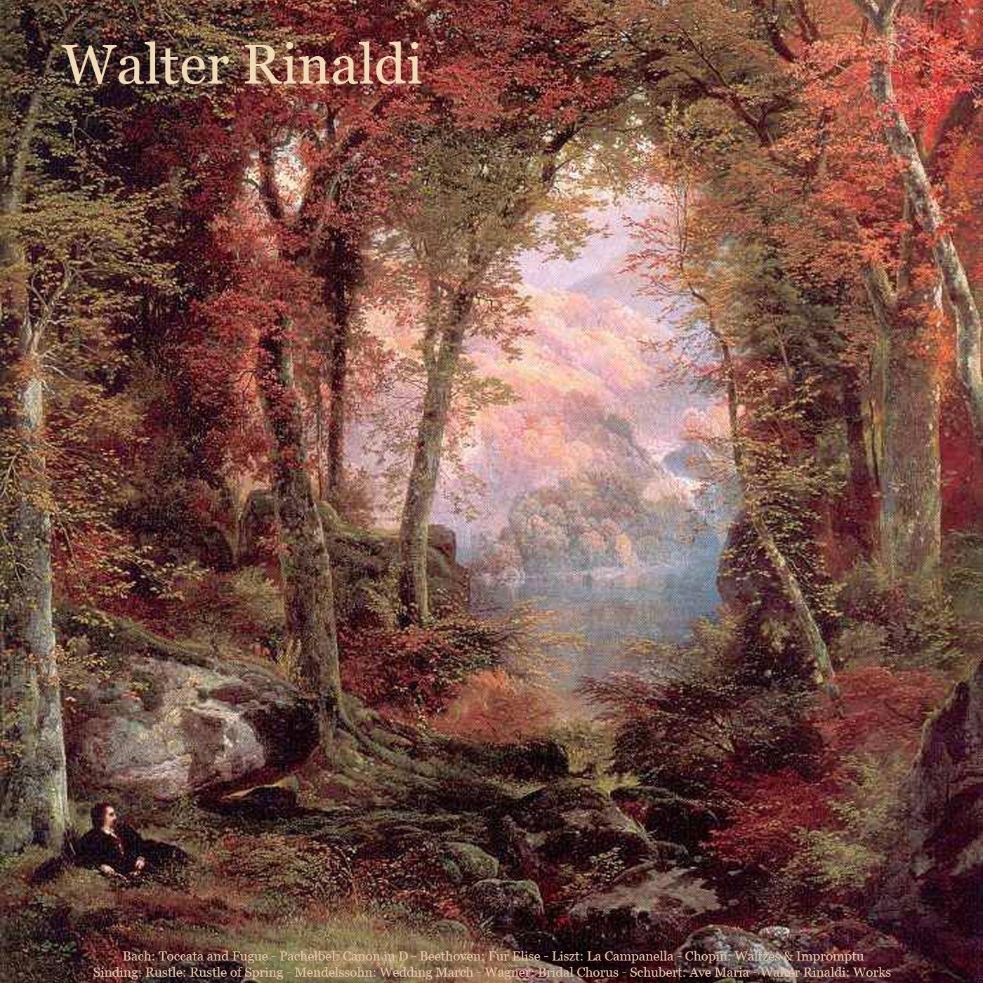 Bach: Toccata and Fugue - Pachelbel: Canon in D - Beethoven: Fur Elise - Liszt: La Campanella - Chop album cover