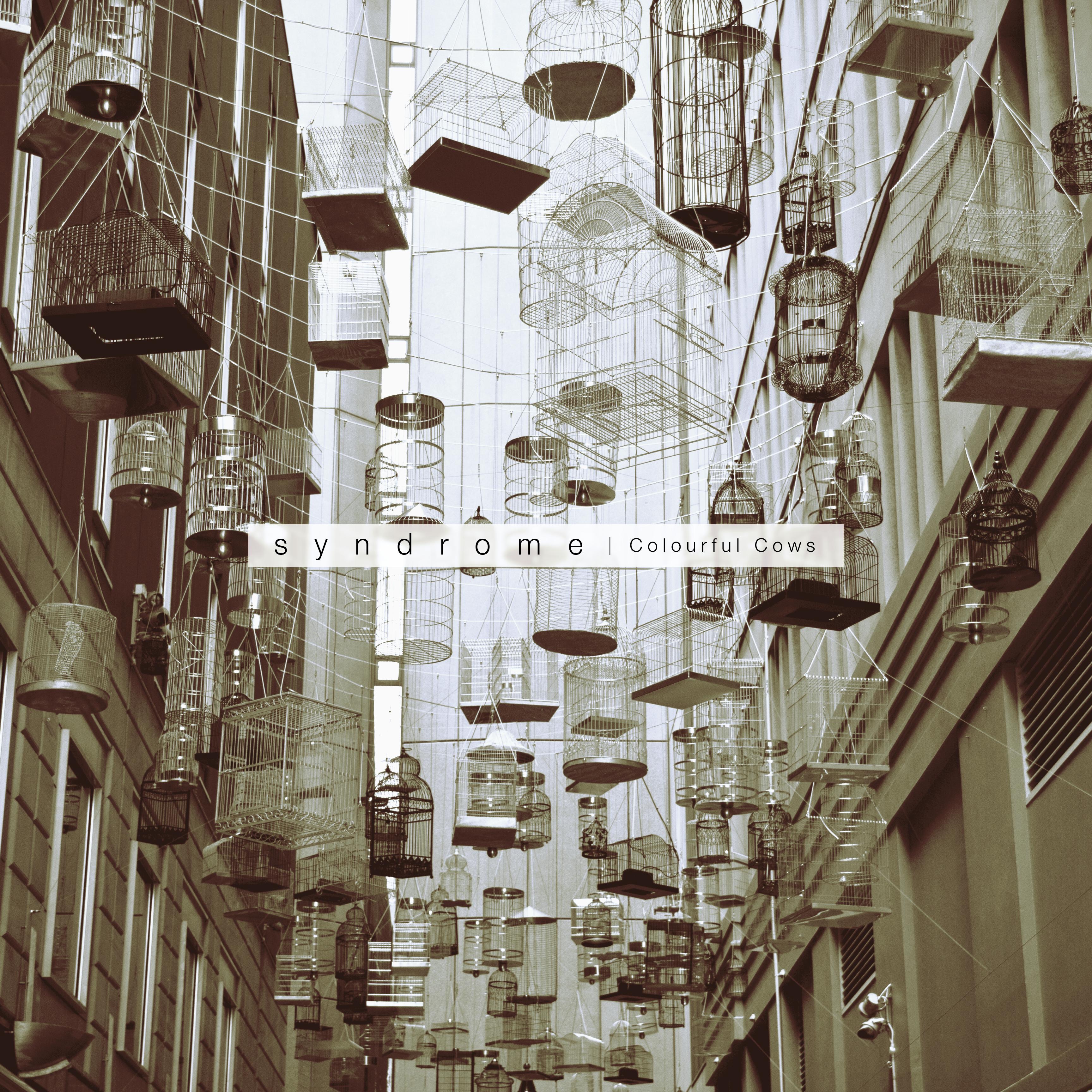 Colourful Cows album cover