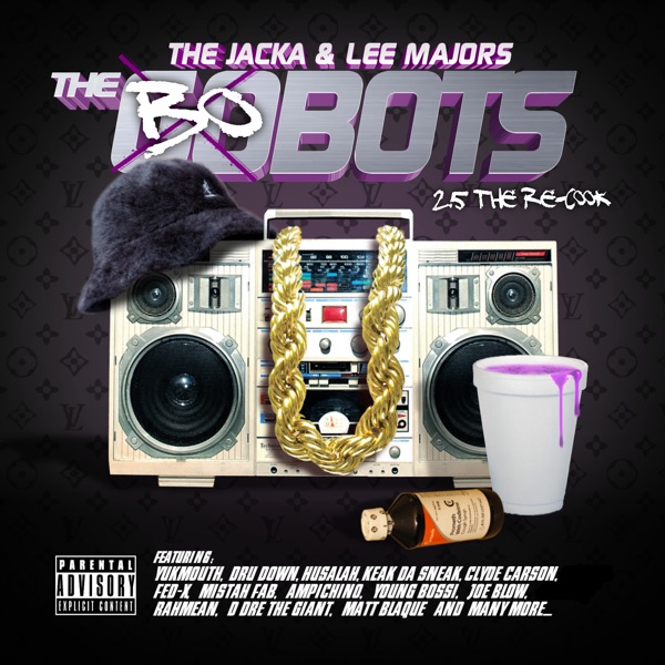 The Bobots 2.5 album cover