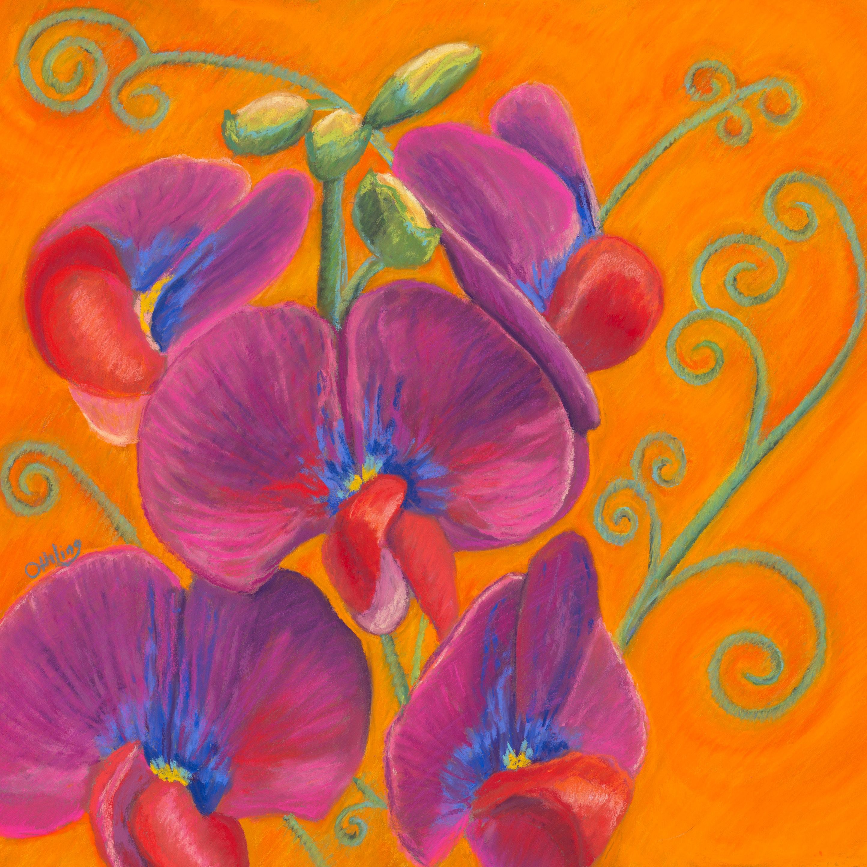 Sweet Pea - Single album cover