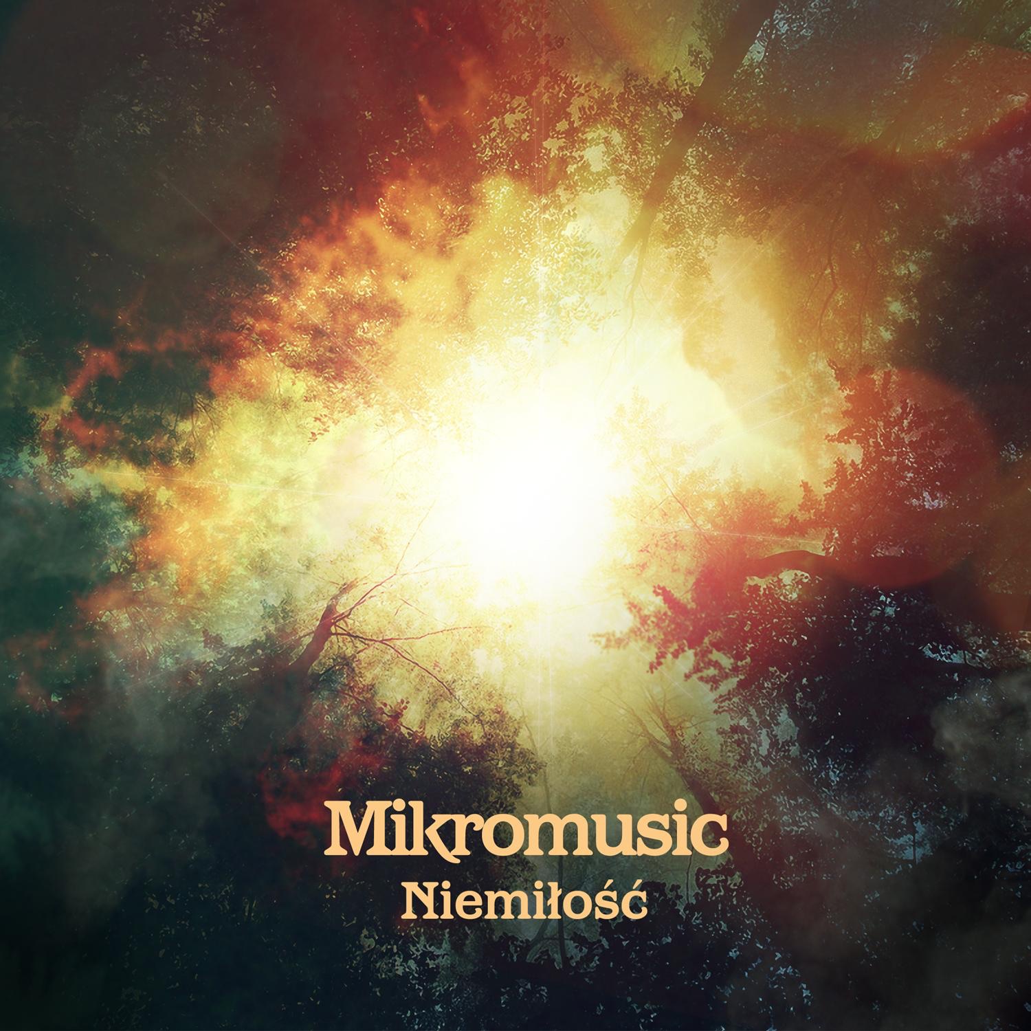 Niemiłość - Single album cover
