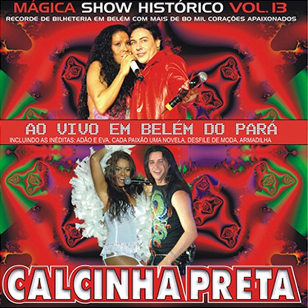 Calcinha Preta, Vol. 13 (Ao Vivo) album cover