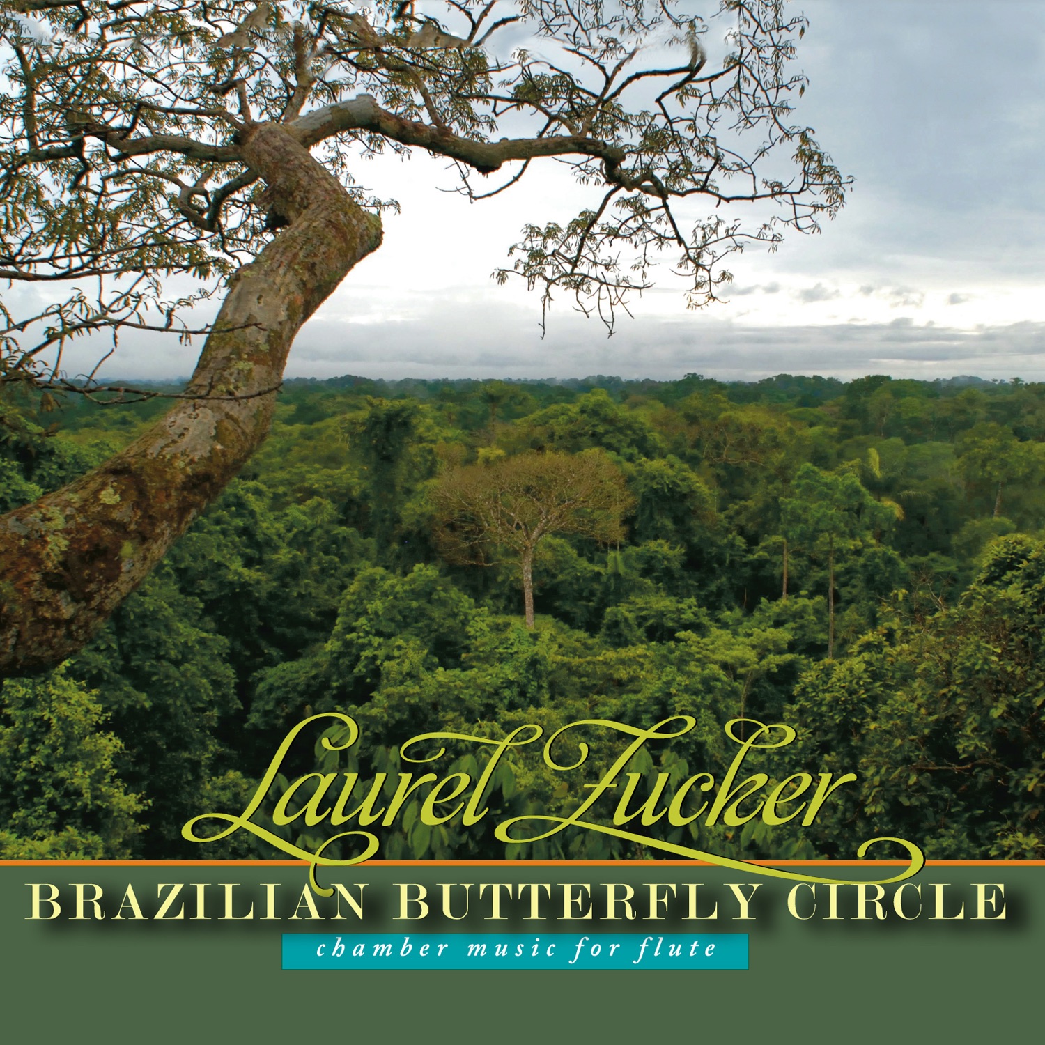 Brazilian Butterfly Circle: Chamber Music for Flute album cover