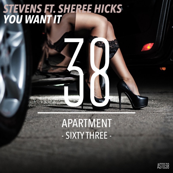You Want It (feat. Sheree Hicks) - Single album cover