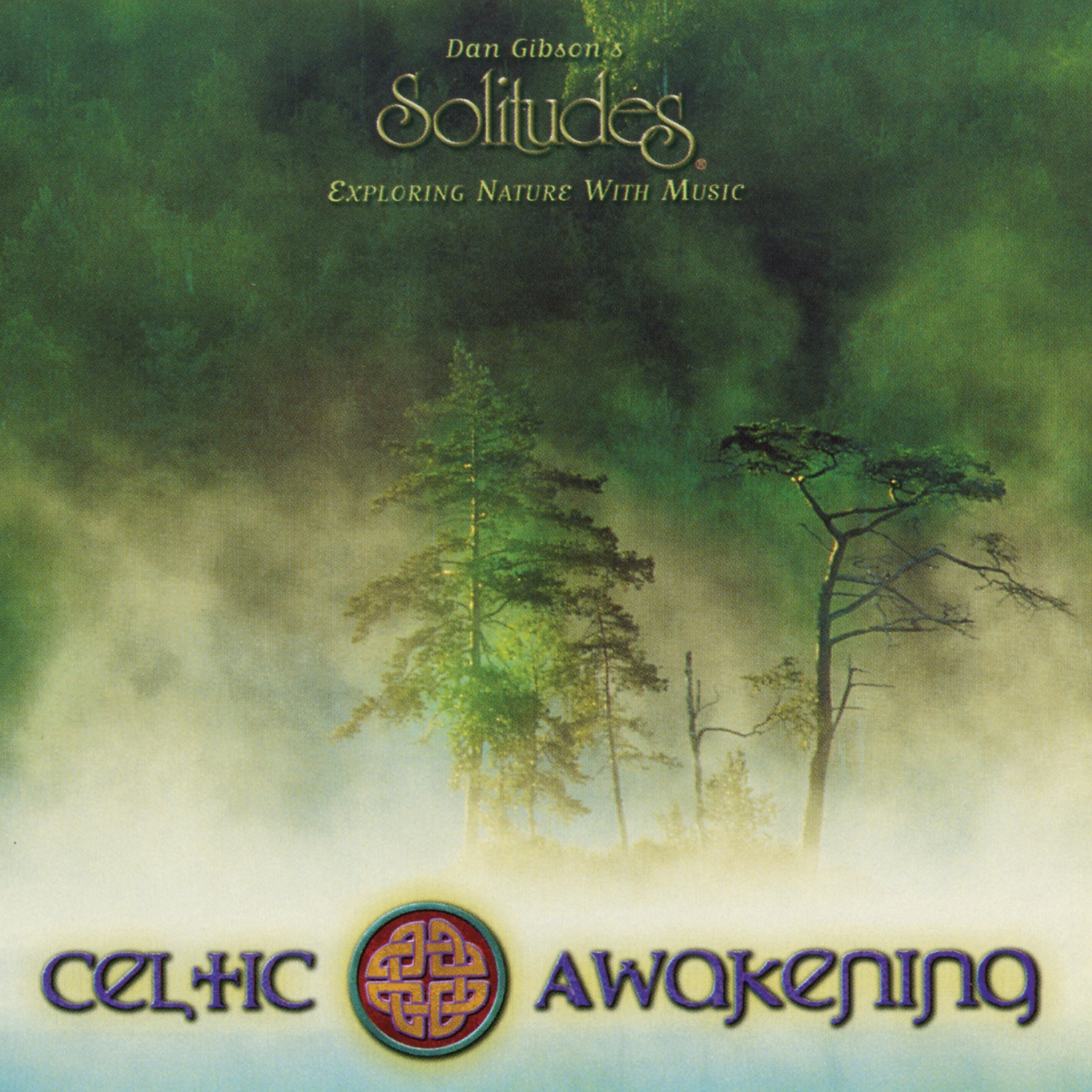 Celtic Awakening album cover
