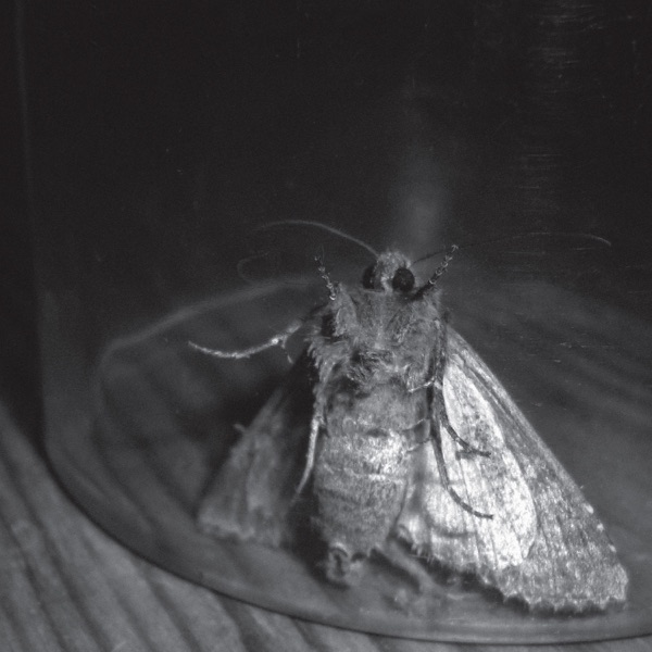 Left Out / Passenger Seat - Single album cover