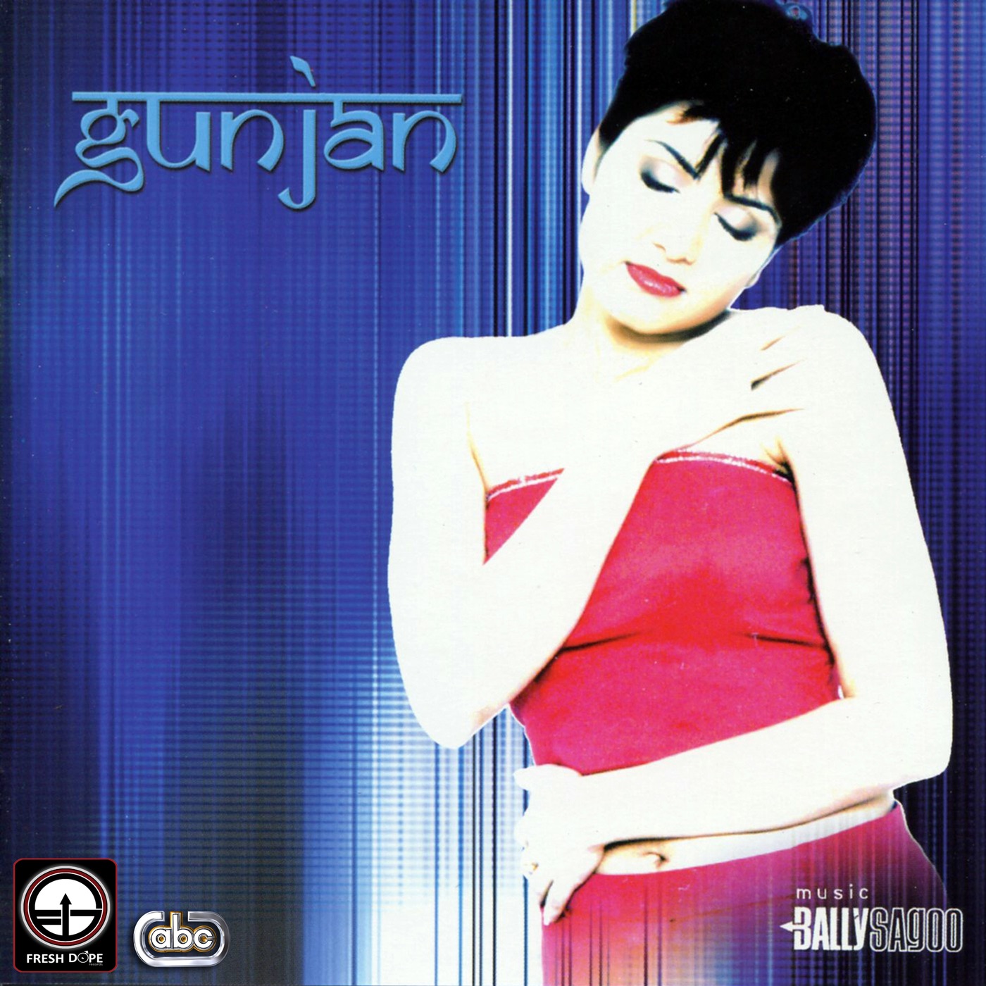 Gunjan (feat. Bally Sagoo) album cover