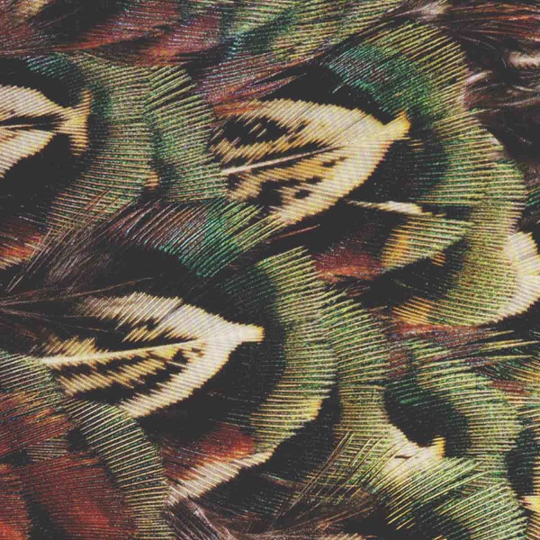 Burned into Memory - Single album cover