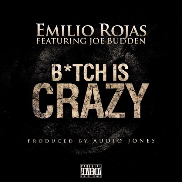 B*tch is Crazy (feat. Joe Budden) - Single album cover