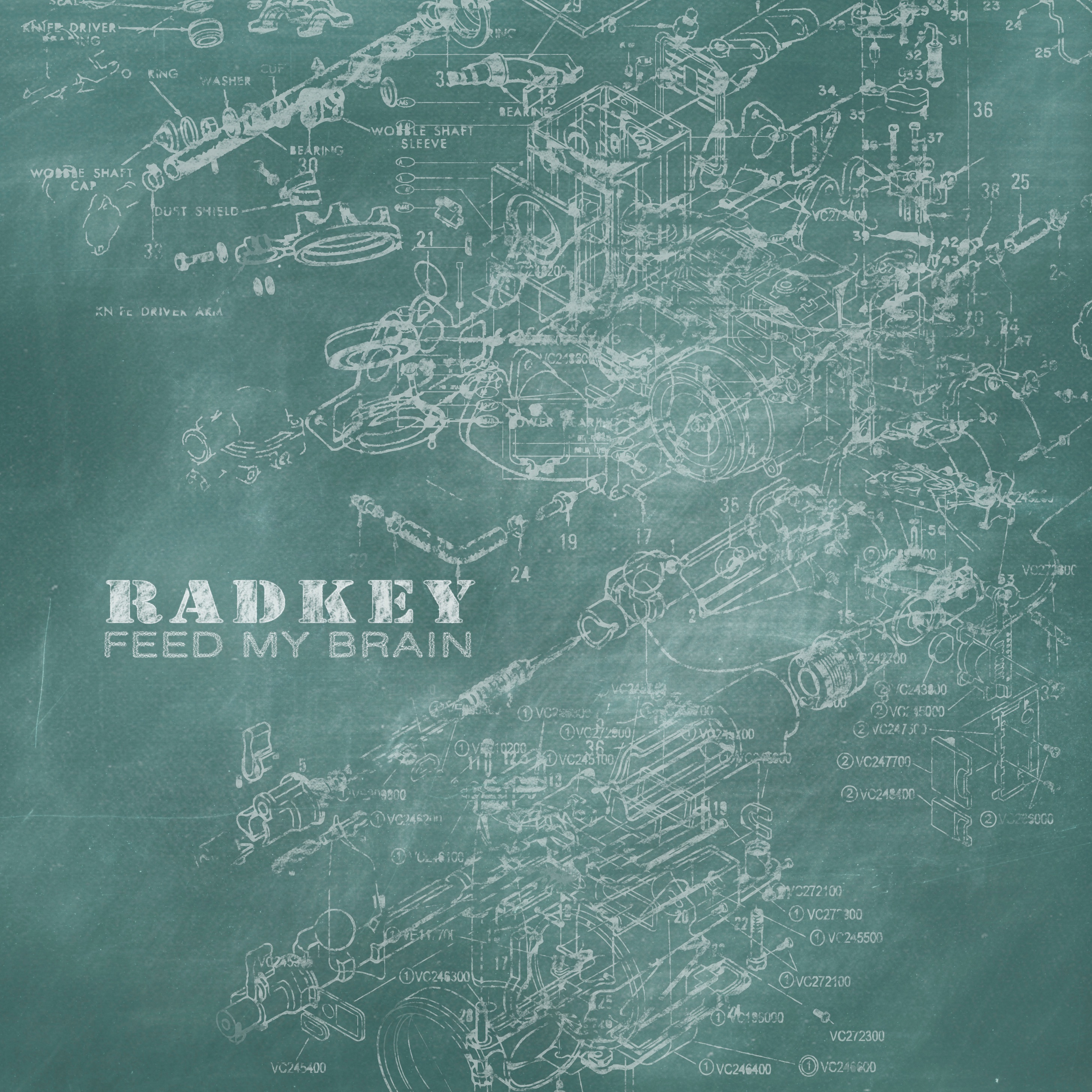 Feed My Brain - Single album cover