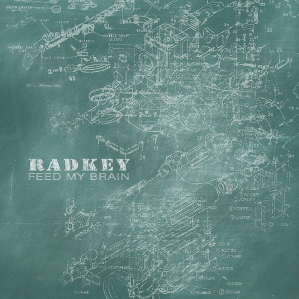 Feed My Brain - Single album cover