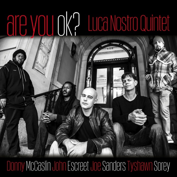 Are You OK? (feat. Donny McCaslin, John Escreet, Joe Sanders & Tyshawn Sorey) album cover