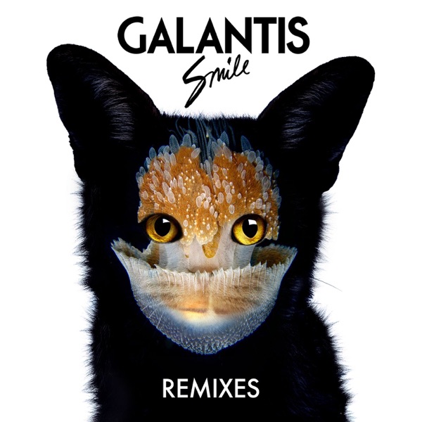 Smile (Remixes) - EP album cover