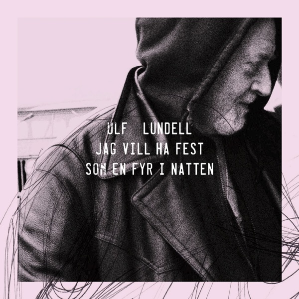 Jag vill ha fest - Single album cover