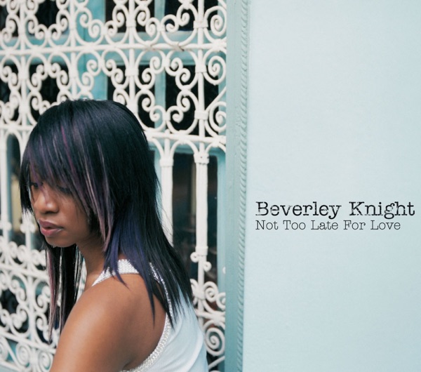 Not Too Late for Love (Radio Edit) - Single album cover