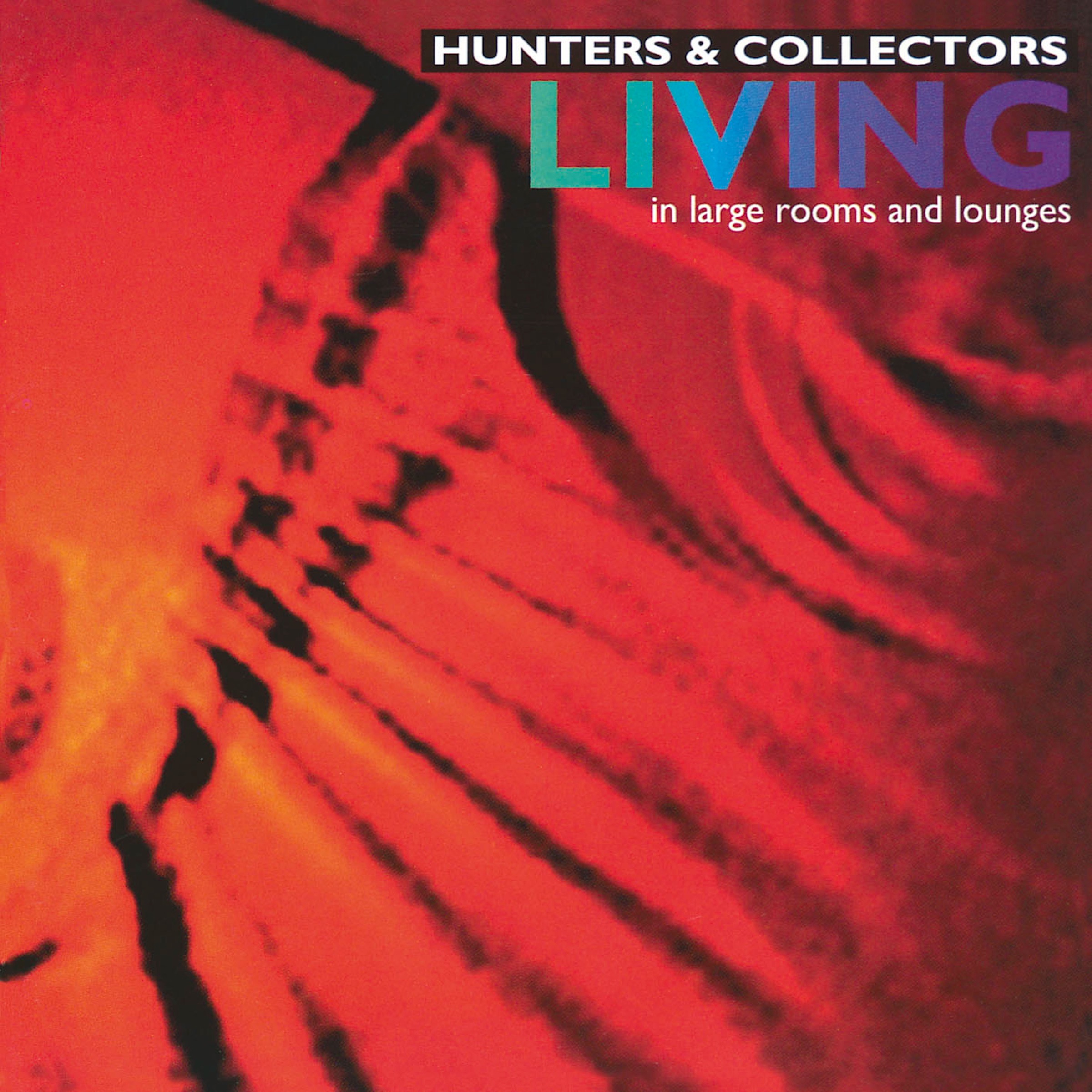 Living In Large Rooms and Lounges album cover