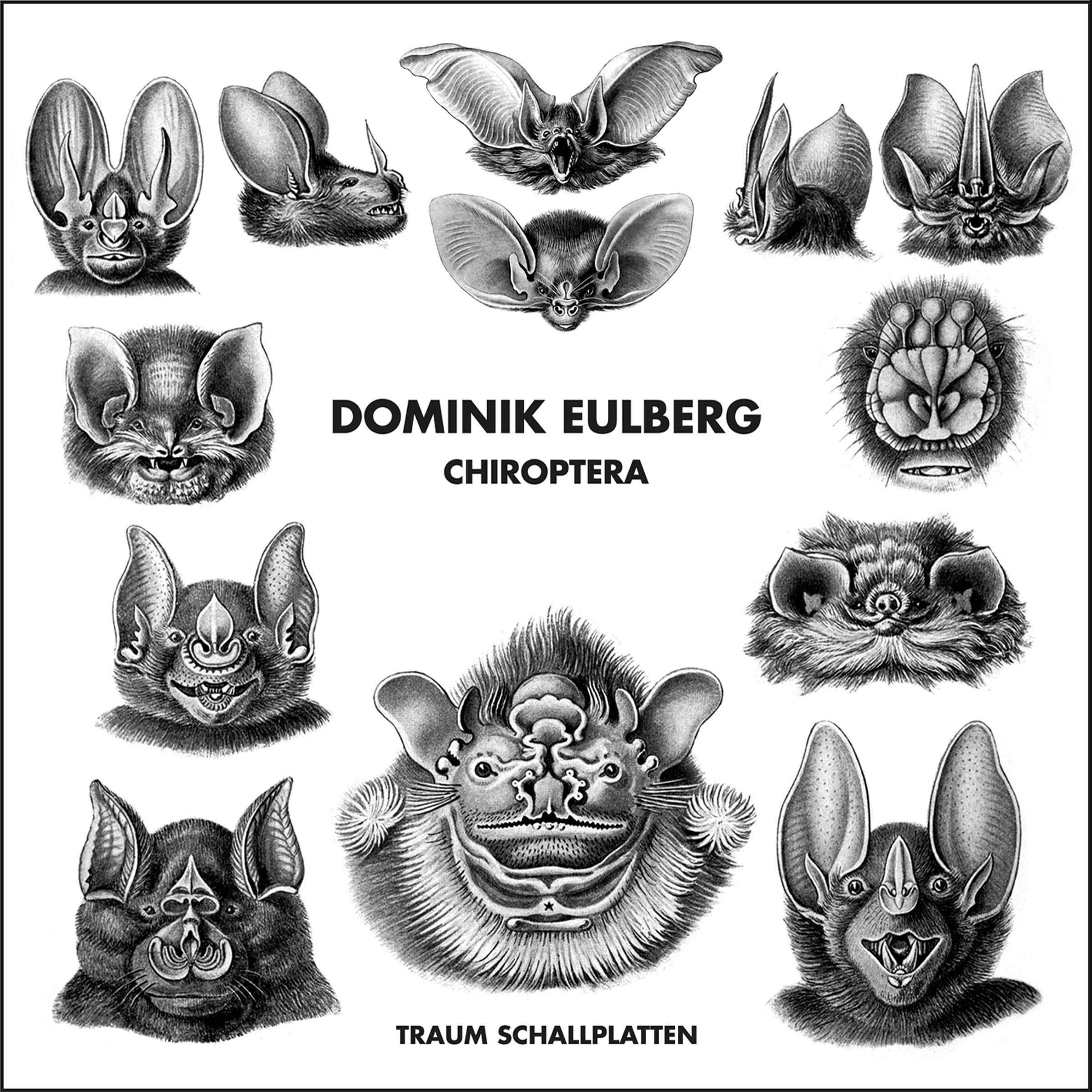 Chiroptera album cover