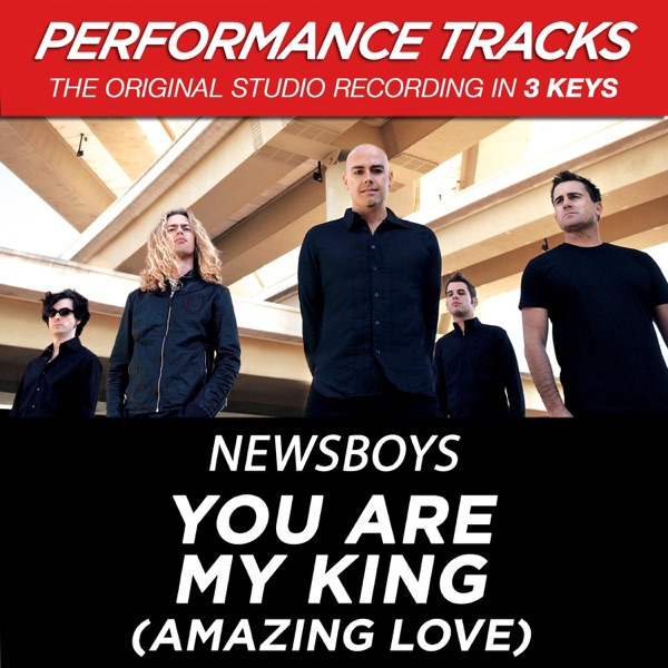 You Are My King (Amazing Love) [Performance Tracks] - EP album cover