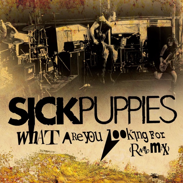 What Are You Looking For (Radio Mix) - Single album cover