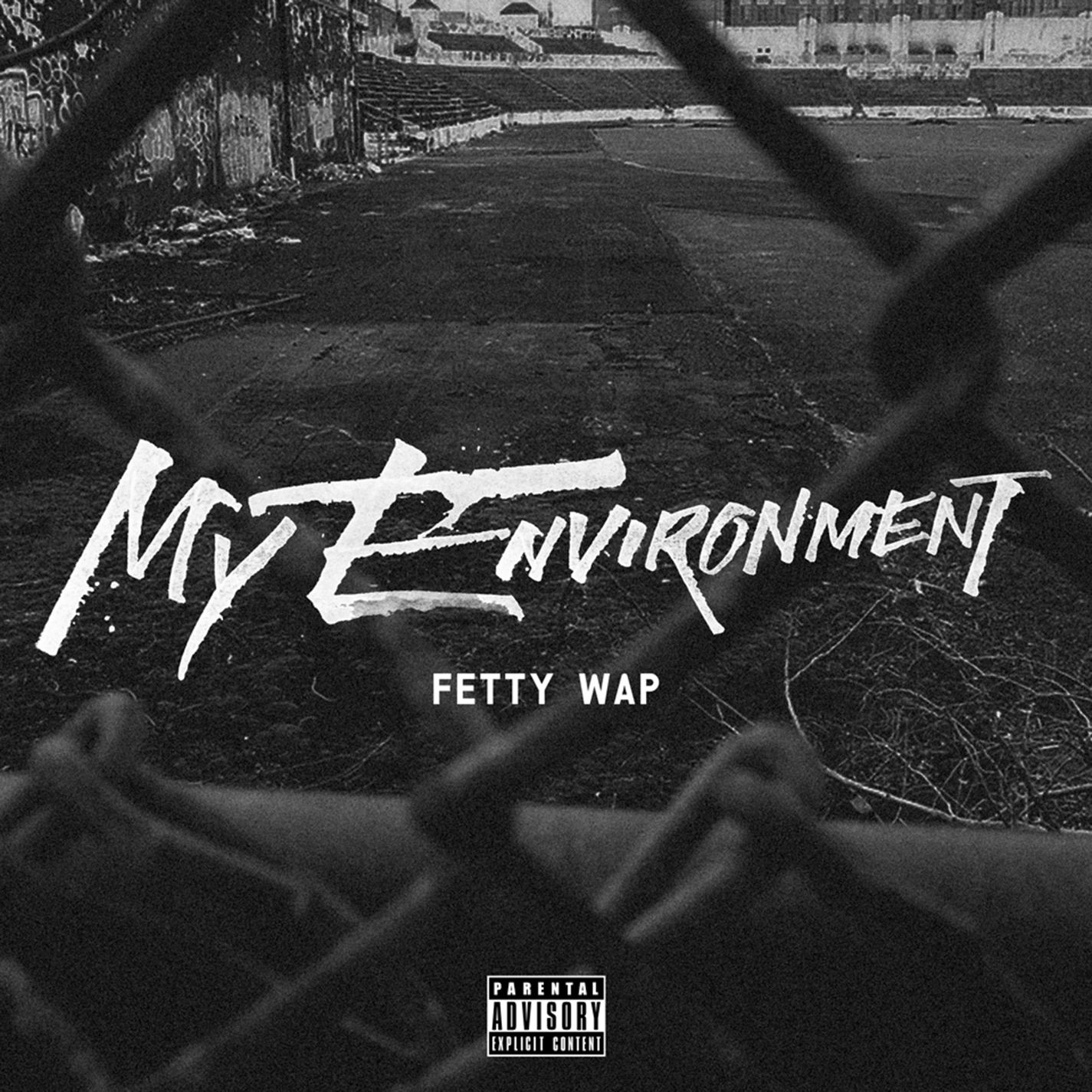My Environment - Single album cover