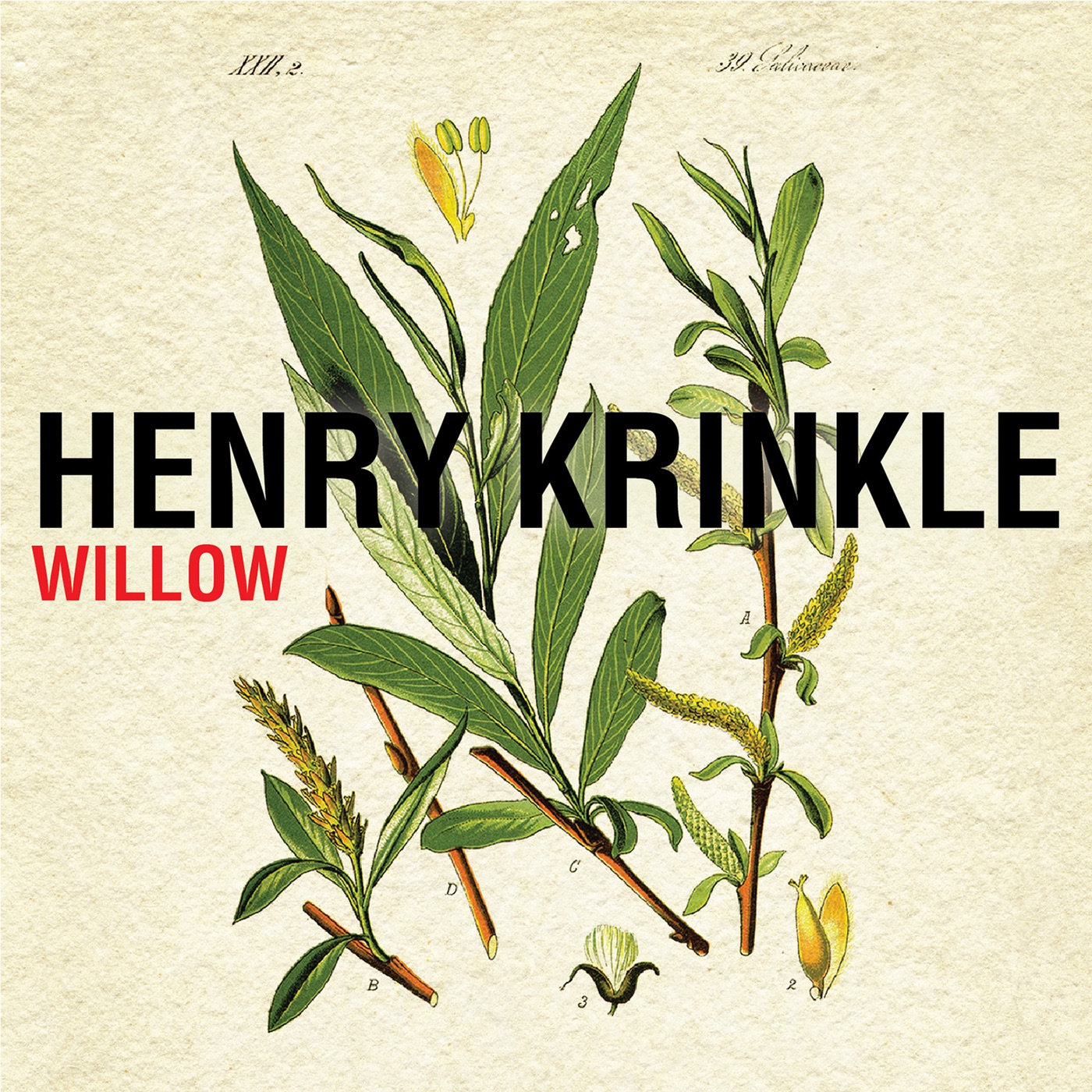 Willow - Single album cover