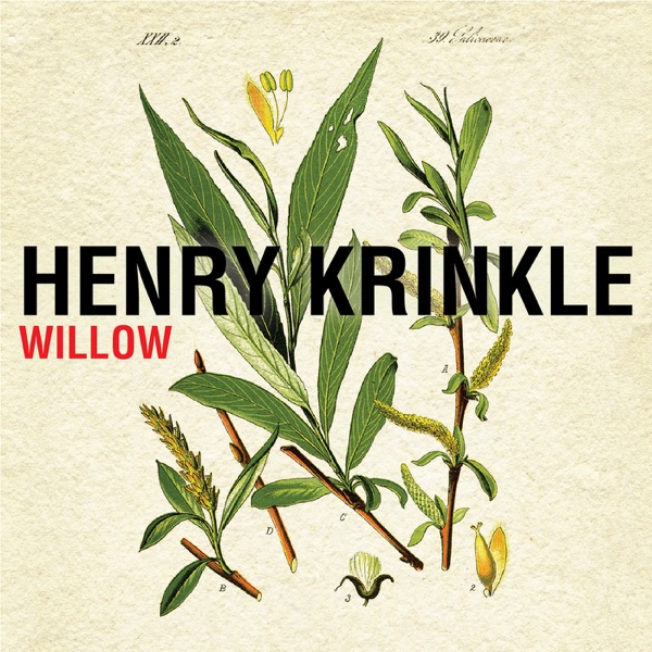 Willow - Single album cover
