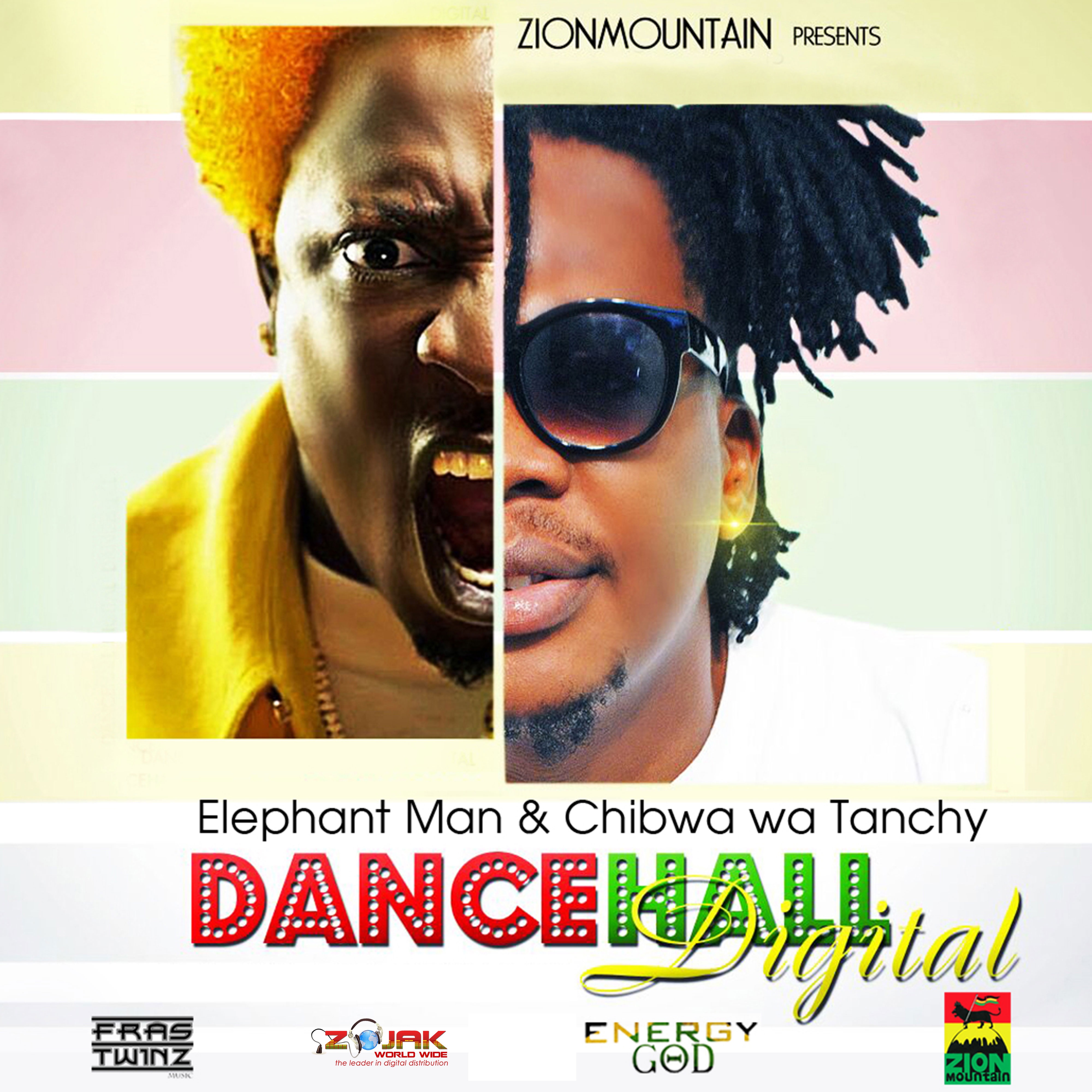 Dancehall Digital - Single album cover