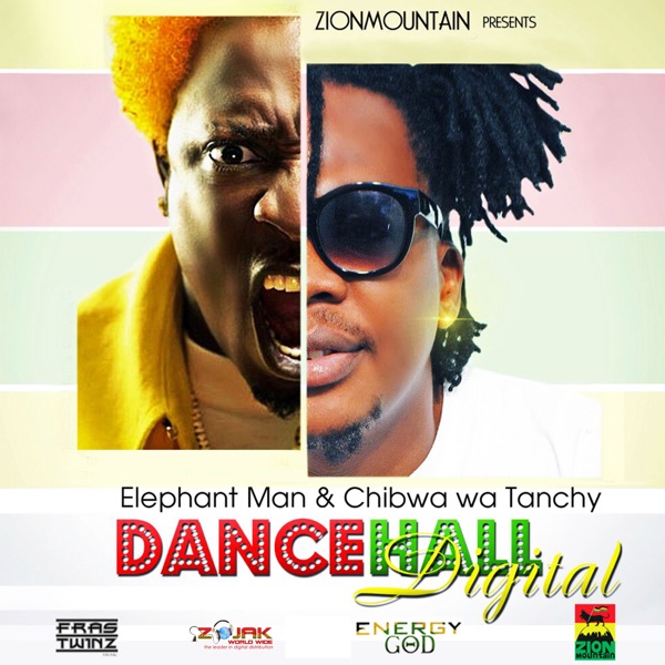 Dancehall Digital - Single album cover