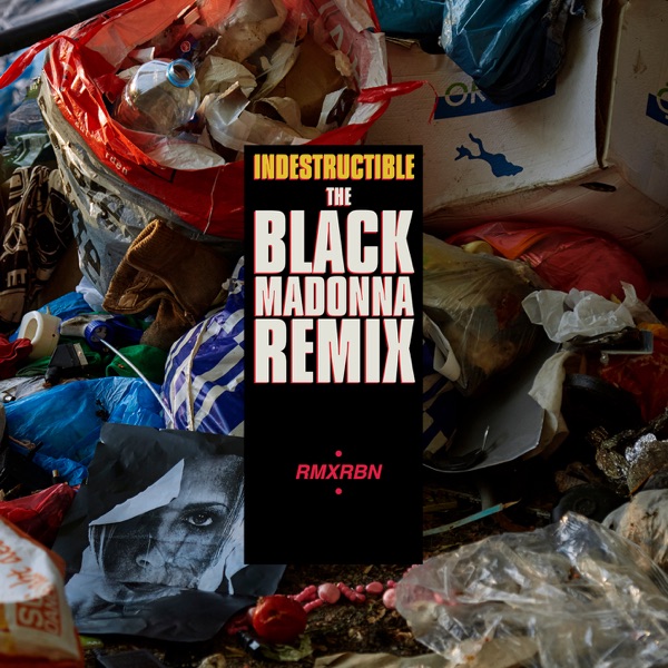 Indestructible (The Black Madonna Remix) - Single album cover