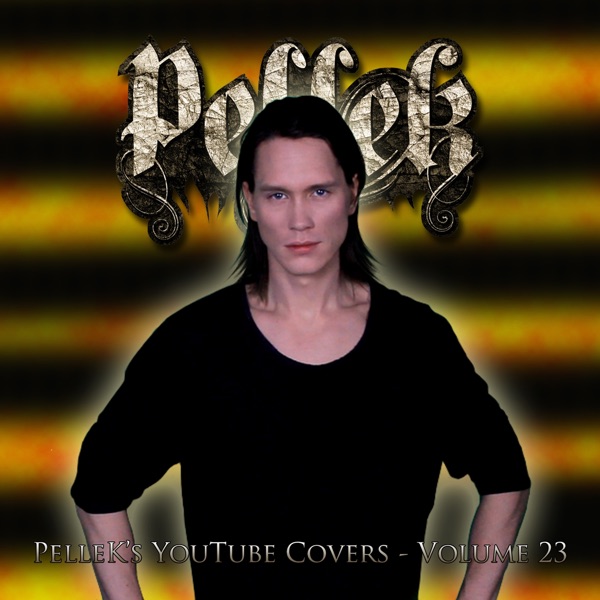 Covers, Vol. 23 album cover