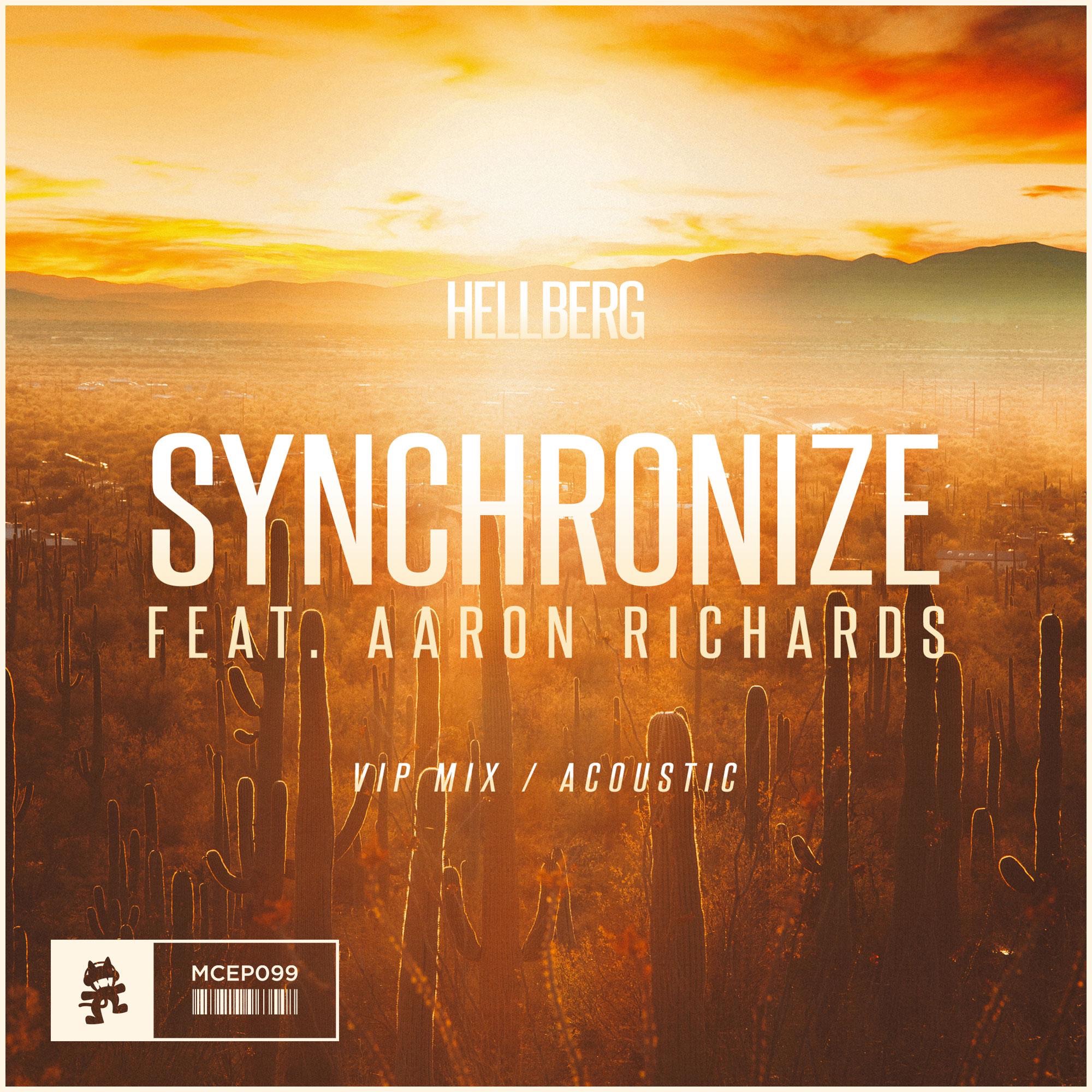 Synchronize (VIP Mix / Acoustic) [feat. Aaron Richards] - Single album cover