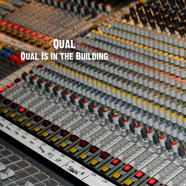 Qual Is in the Building - Single album cover