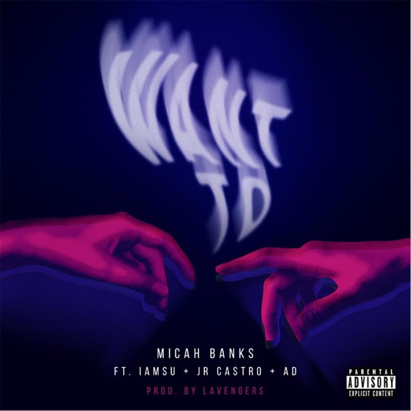 Want To (feat. JR Castro, Iamsu & AD) - Single album cover