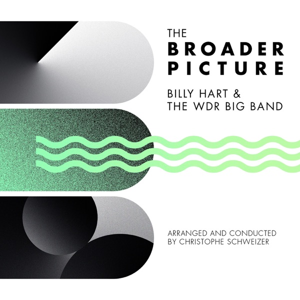 The Broader Picture album cover