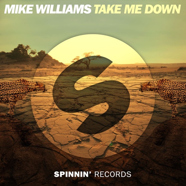 Take Me Down - Single album cover