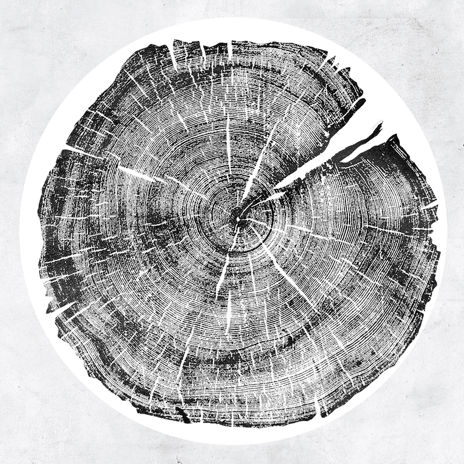 M: Darkmotif Dancehall album cover