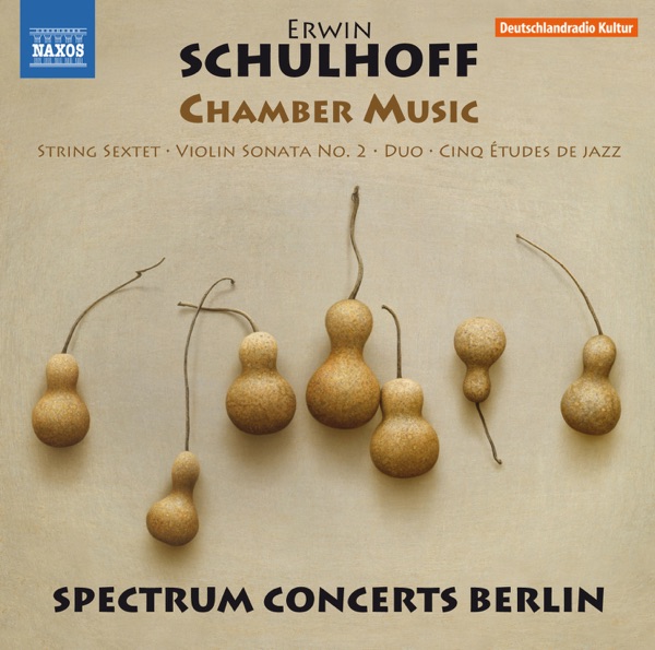Schulhoff: Chamber Music album cover