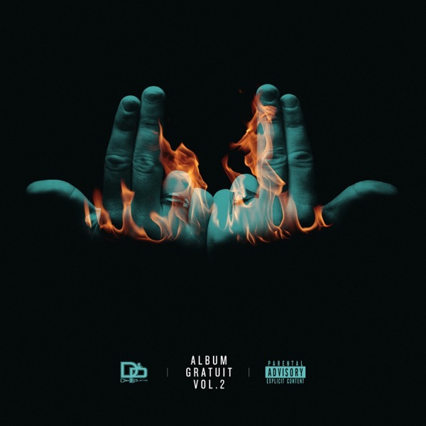 Tu fais l'idiot - Single album cover