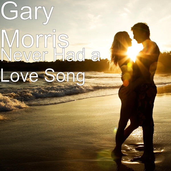 Never Had a Love Song - Single album cover