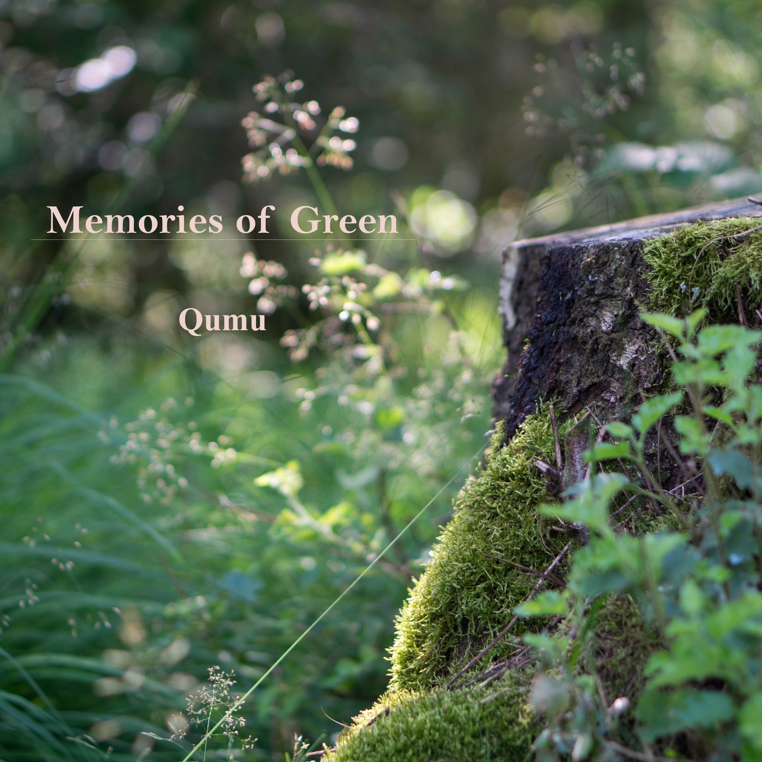 Memories of Green - Single album cover