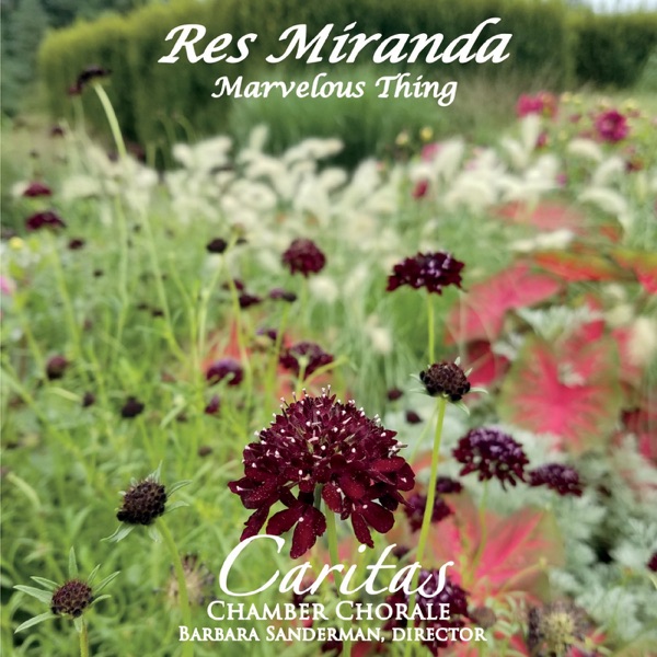 Res Miranda album cover