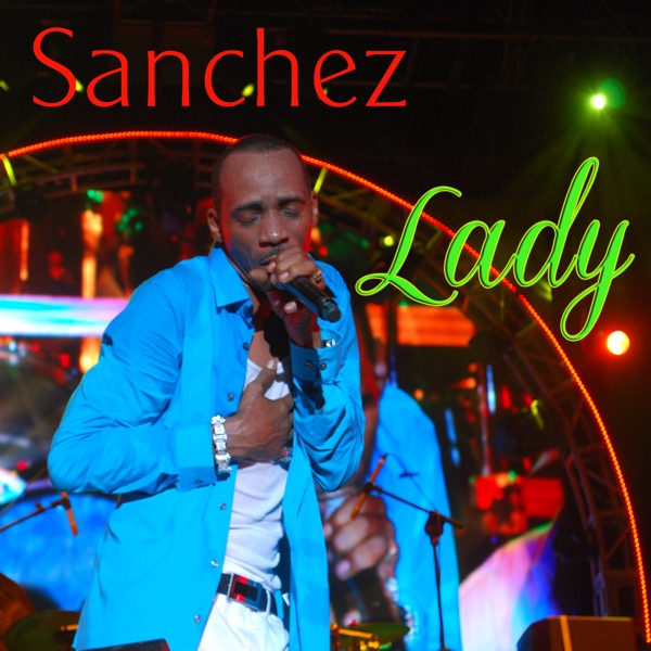 Lady Remix - Single album cover