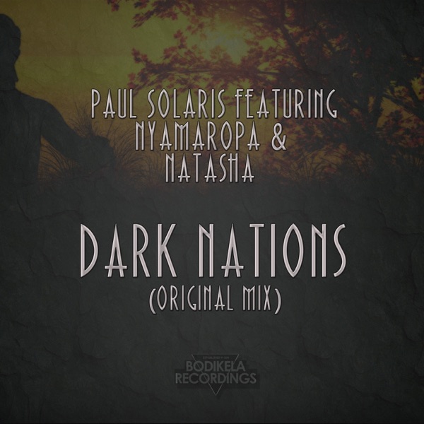 Dark Nations (feat. Nyamaropa & Natasha) - Single album cover